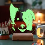 Köpek 3D 16 Renk Gece Lambası