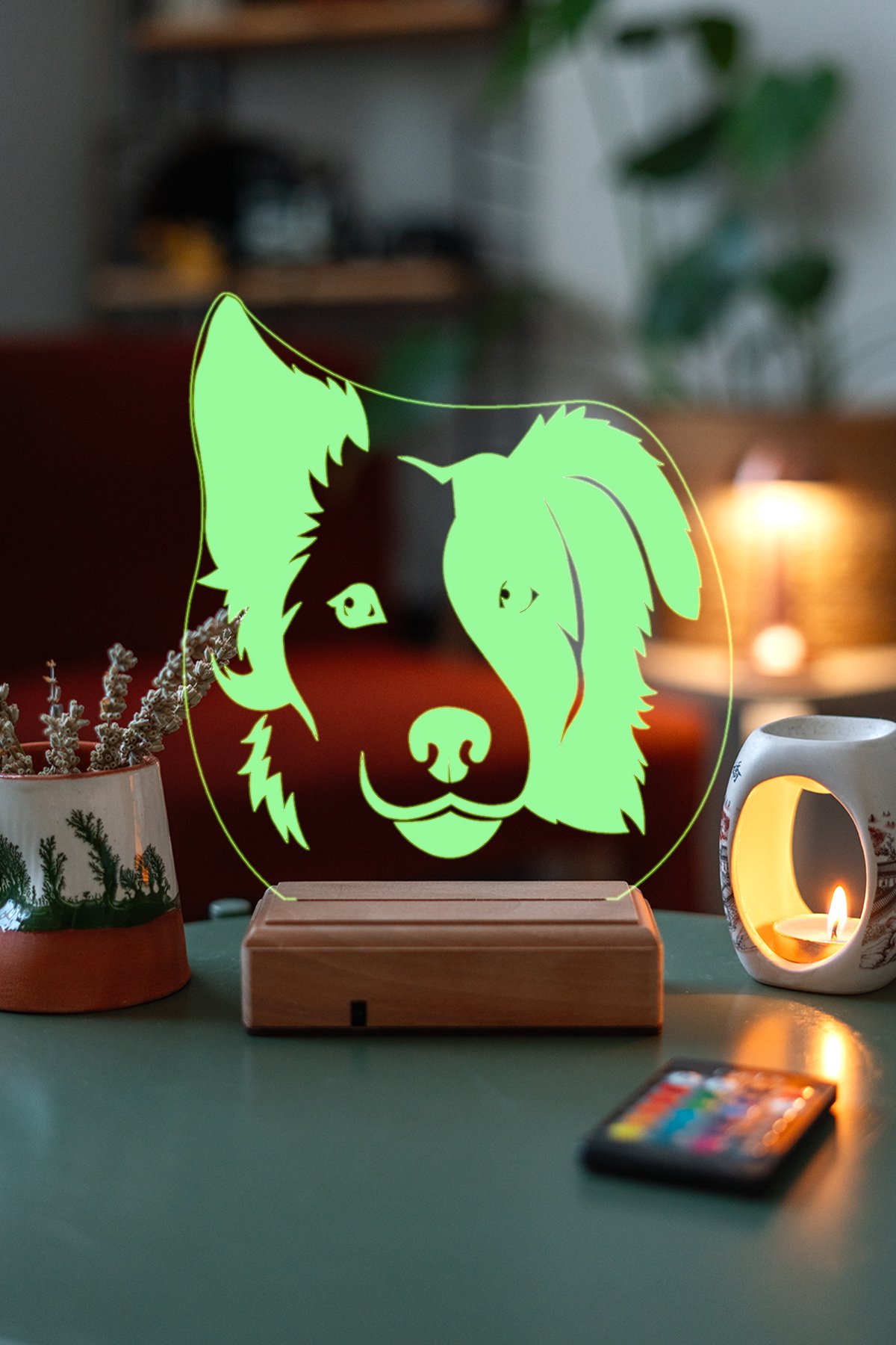 MDW-AN-1150 Köpek 3D 16 Renk Gece Lambası - Görsel 1