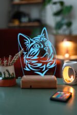 KEDİ 3D 16 RENK GECE LAMBASI