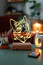 KEDİ 3D 16 RENK GECE LAMBASI - Görsel 2