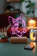 KEDİ 3D 16 RENK GECE LAMBASI - Görsel 4