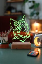 KEDİ 3D 16 RENK GECE LAMBASI - Görsel 5