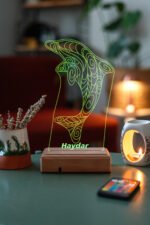 Kişiye Özel 3D Yunus 16 Renk Dekoratif Led Lamba - Görsel 5