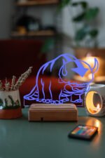 Avatar Appa 16 Renk Gece Lambası - Görsel 6