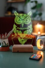 Kişiye Özel Fantastik Baykuş 3D Dekoratif Lamba - Görsel 3
