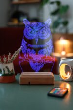 Kişiye Özel Fantastik Baykuş 3D Dekoratif Lamba - Görsel 4