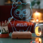 Kişiye Özel 3D Baykuş ve Kalp 16 Renk Dekoratif Led Lamba