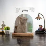 Evcil Dostlar Kedi - Köpek Kişiselleştirilebilir Masa Süsü