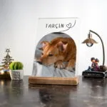 Evcil Dostlar Kedi Köpek Masa Süsü
