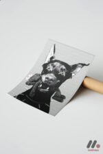 Siyah Köpek Pop Art Duvar Tablosu, Renkli Ev Dekorasyonu